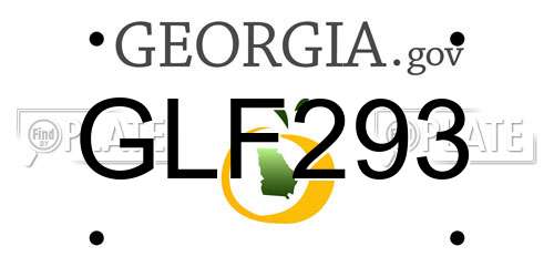 GLF293 Georgia License Plate
