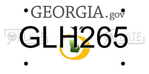 GLH265 Georgia License Plate