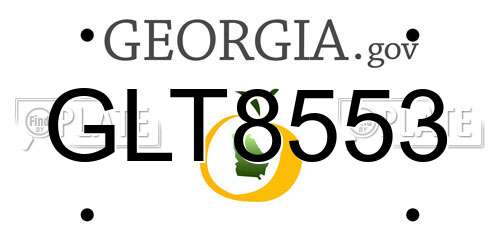 GLT8553 Georgia License Plate