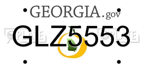 GLZ5553 Georgia License Plate
