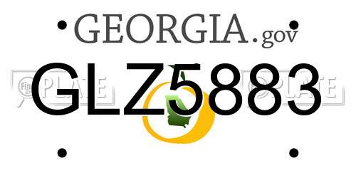 GLZ5883 Georgia License Plate