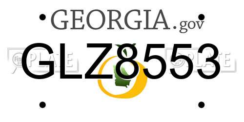 GLZ8553 Georgia License Plate