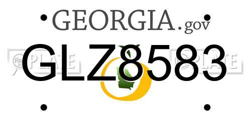 GLZ8583 Georgia License Plate