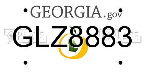 GLZ8883 Georgia License Plate