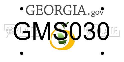 GMS030 Georgia License Plate