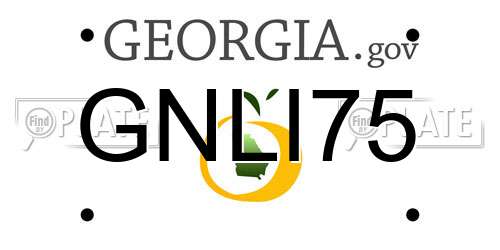 GNLI75 Georgia License Plate