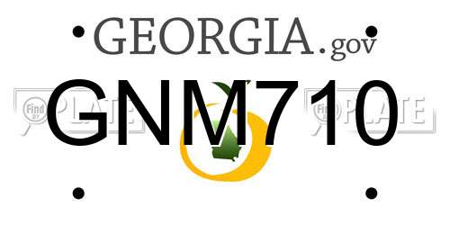 GNM710 Georgia License Plate