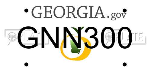 GNN300 Georgia License Plate