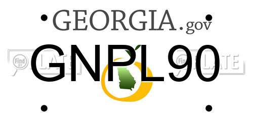 GNPL90 Georgia License Plate