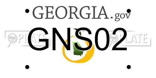 GNS02 Georgia License Plate