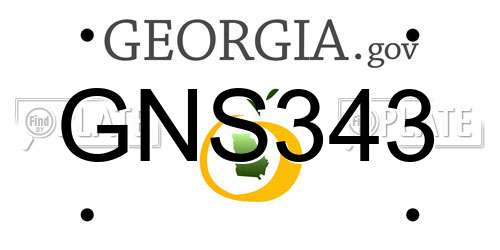 GNS343 Georgia License Plate