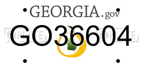 GO36604 Georgia License Plate