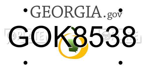 GOK8538 Georgia License Plate