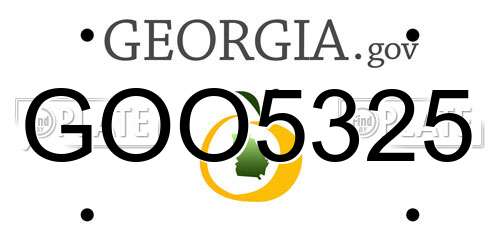 GOO5325 Georgia License Plate
