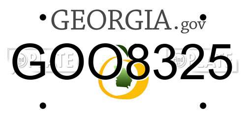 GOO8325 Georgia License Plate