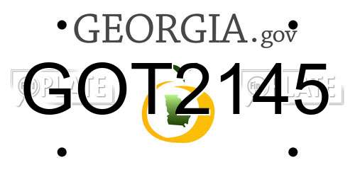 GOT2145 Georgia License Plate