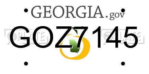 GOZ7145 Georgia License Plate