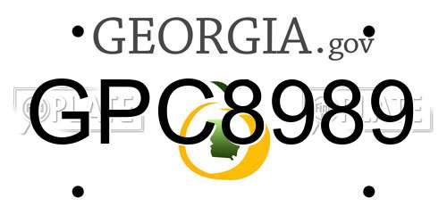 GPC8989 Georgia License Plate