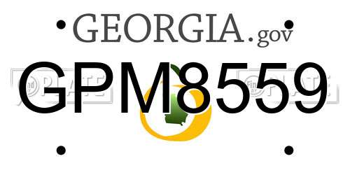 GPM8559 Georgia License Plate