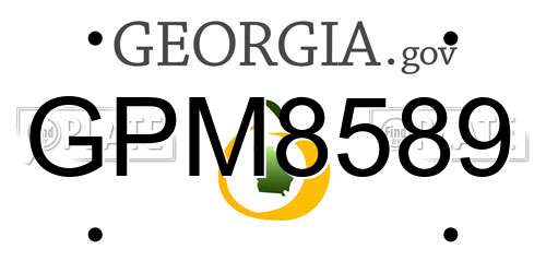 GPM8589 Georgia License Plate