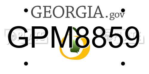 GPM8859 Georgia License Plate