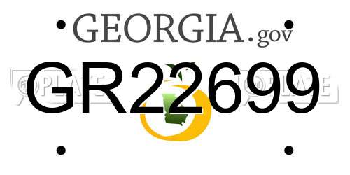 GR22699 Georgia License Plate