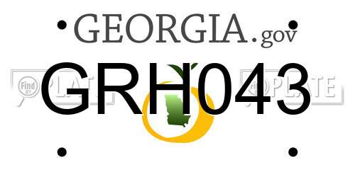 GRH043 Georgia License Plate