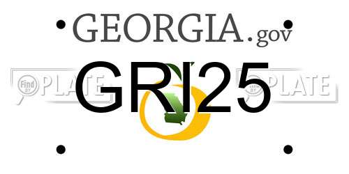 GRI25 Georgia License Plate