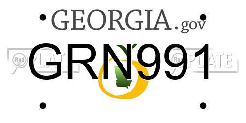 GRN991 Georgia License Plate