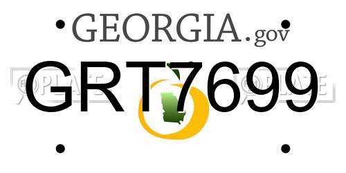 GRT7699 Georgia License Plate