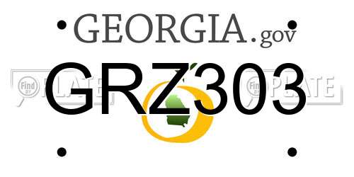 GRZ303 Georgia License Plate