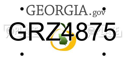 GRZ4875 Georgia License Plate