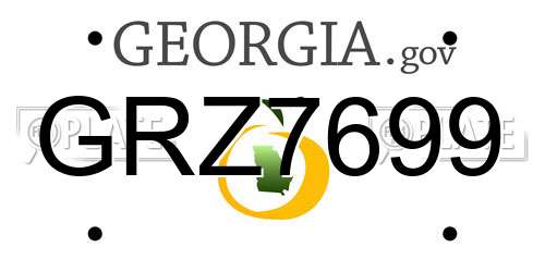 GRZ7699 Georgia License Plate
