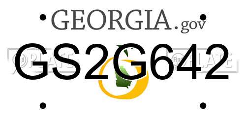 GS2G642 Georgia License Plate
