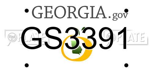 GS3391 Georgia License Plate