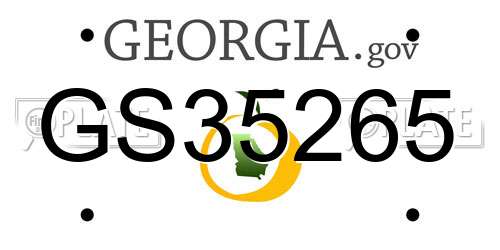 GS35265 Georgia License Plate