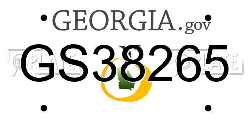 GS38265 Georgia License Plate