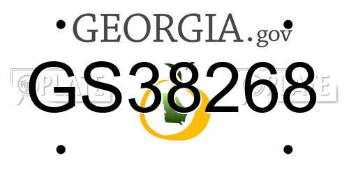 GS38268 Georgia License Plate