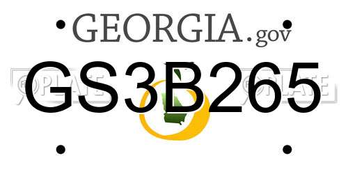 GS3B265 Georgia License Plate