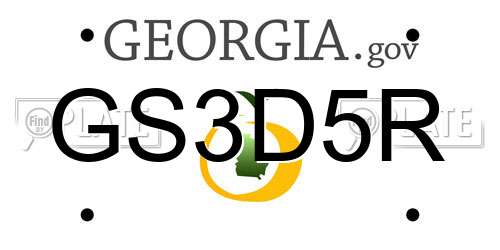 GS3D5R Georgia License Plate