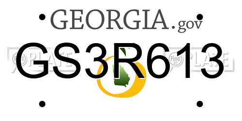 GS3R613 Georgia License Plate