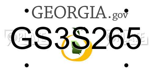 GS3S265 Georgia License Plate