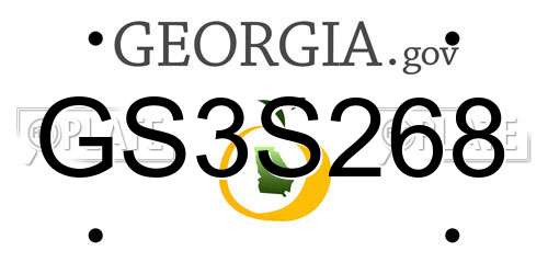 GS3S268 Georgia License Plate