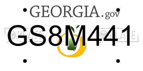 GS8M441 Georgia License Plate