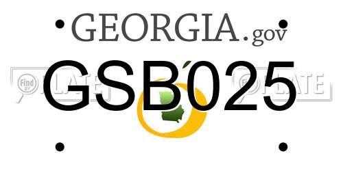 GSB025 Georgia License Plate