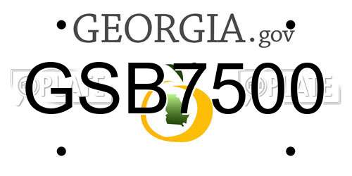 GSB7500 Georgia License Plate
