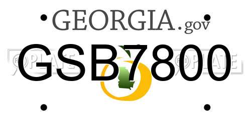 GSB7800 Georgia License Plate