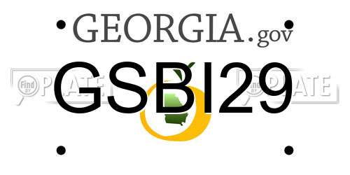 GSBI29 Georgia License Plate