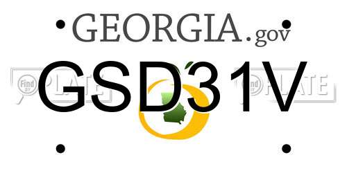 GSD31V Georgia License Plate