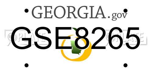 GSE8265 Georgia License Plate